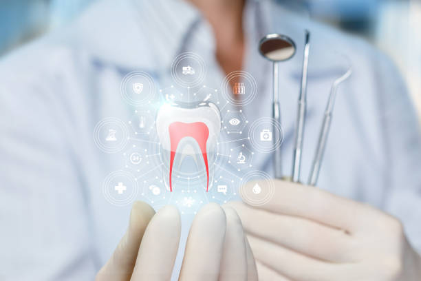  La Porte, TX Holistic Dental Care Services Pros